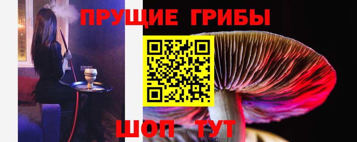 Псилоцибиновые грибы мухоморы  Вход с VPN  Псилоцибиновые грибы мицелий  Рязань 